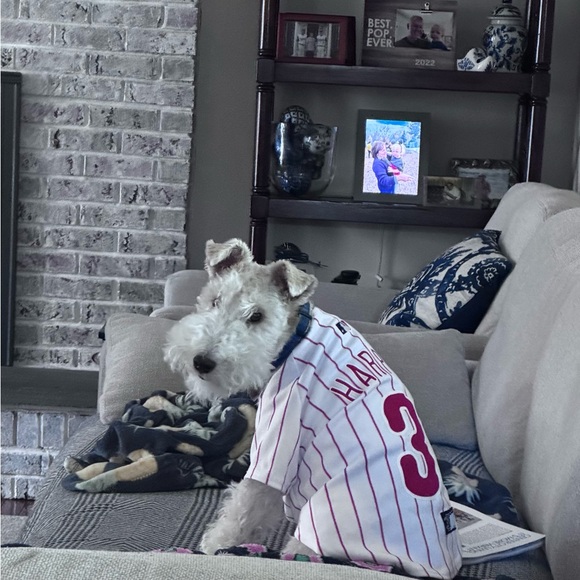 Meet your Posher, Linda - Picture 2 of 2